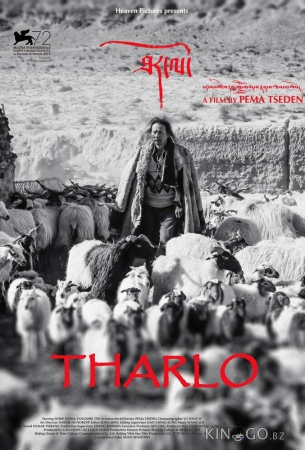 Тарло Тарло