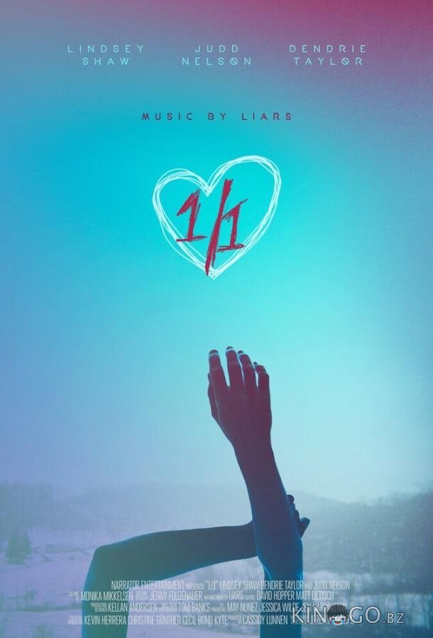 1/1 1/1