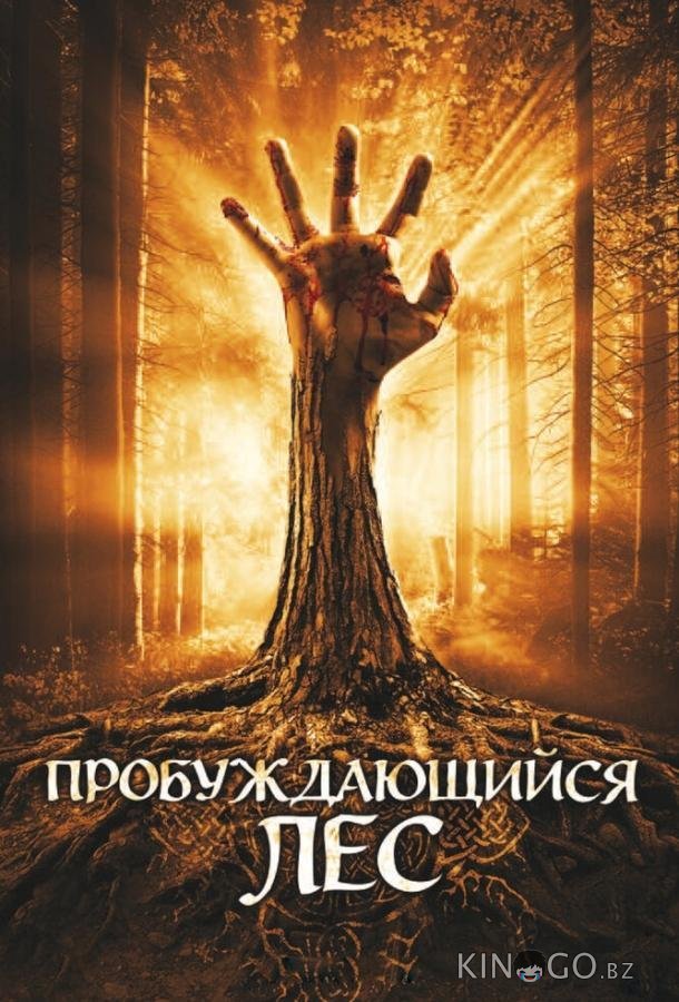 Пробуждающийся лес Пробуждающийся лес