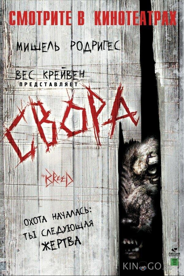 Свора Свора