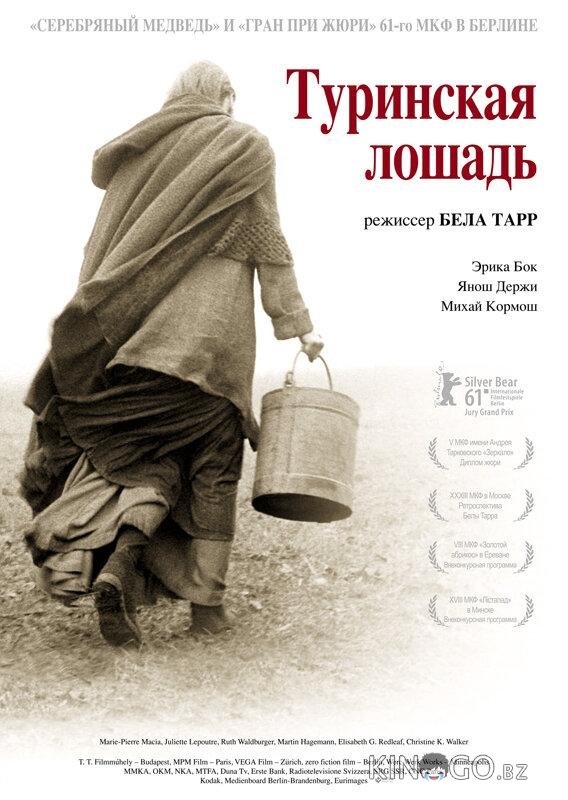 Туринская лошадь Туринская лошадь