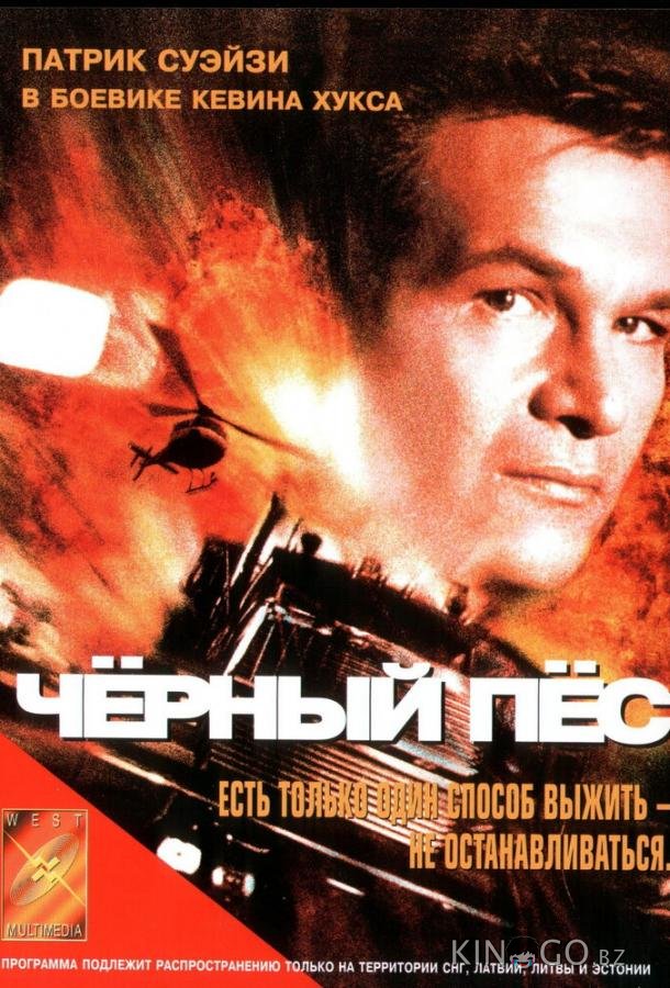 Черный пес Черный пес