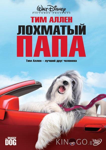 Лохматый папа Лохматый папа