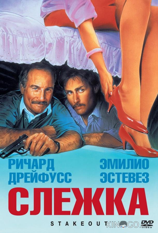 Слежка Слежка