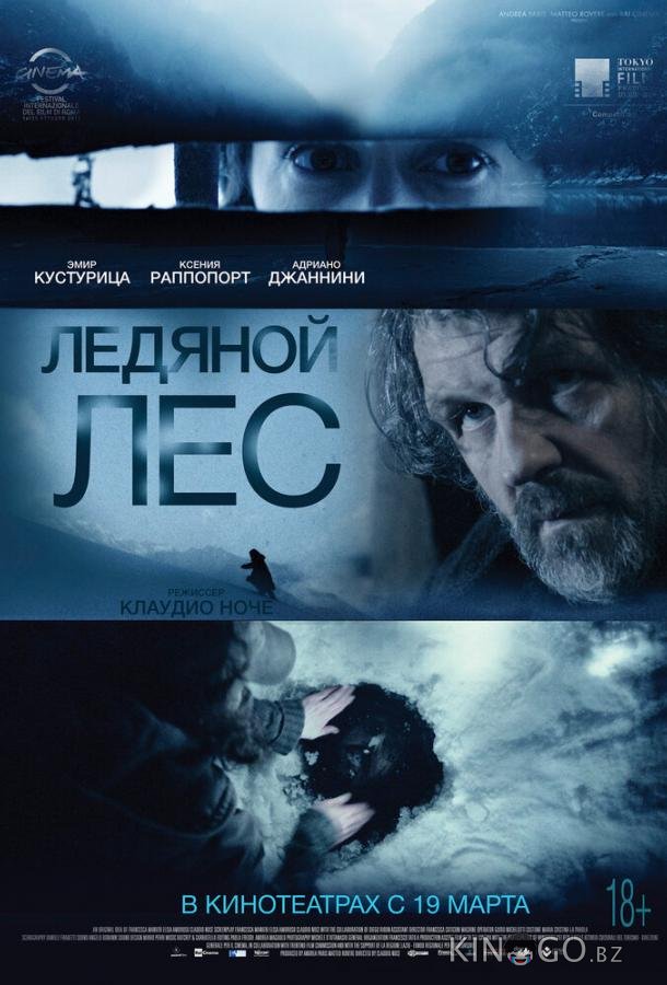 Ледяной лес Ледяной лес