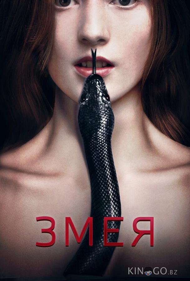 Змея Змея