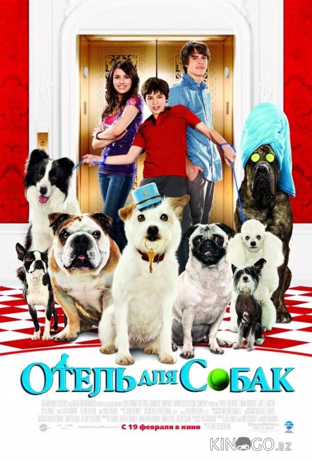 Отель для собак Отель для собак