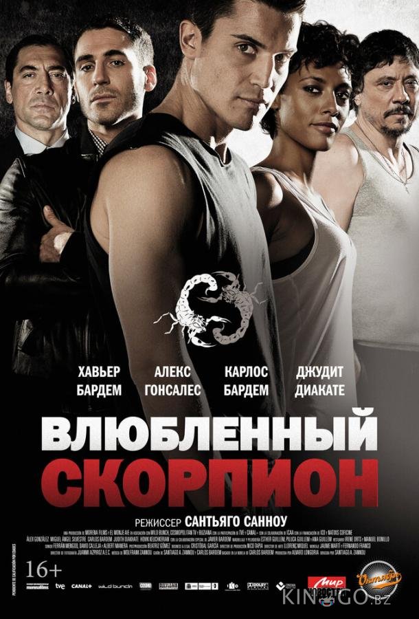 Влюбленный скорпион Влюбленный скорпион