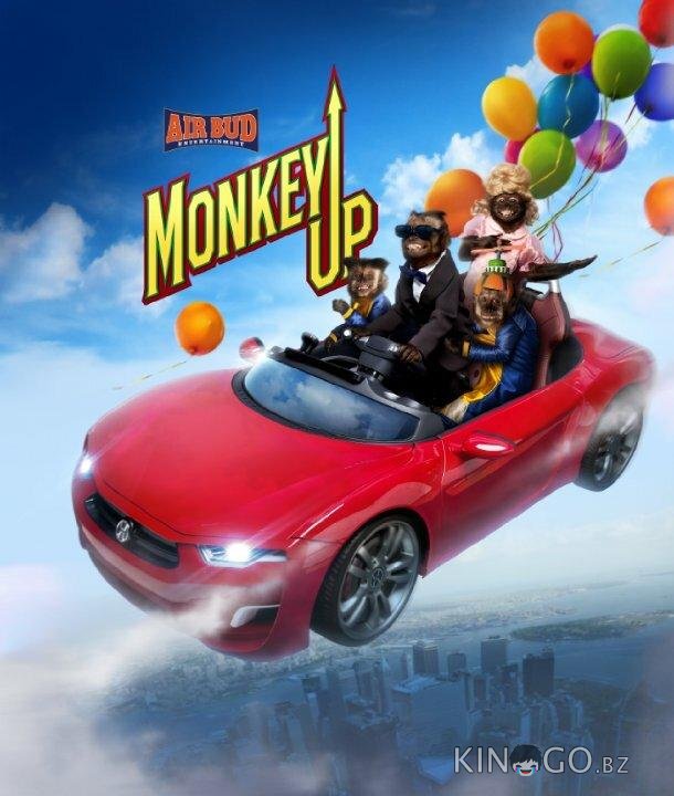 Миллионер Монти Миллионер Монти