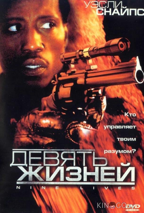 Девять жизней Девять жизней