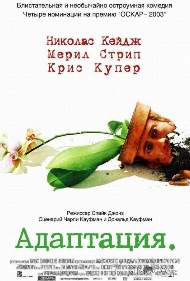 Адаптация Адаптация
