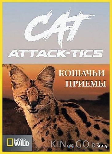 Кошачьи приемы Кошачьи приемы