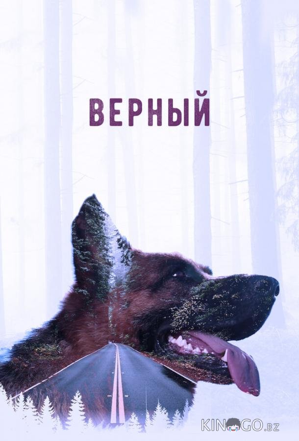 Верный Верный
