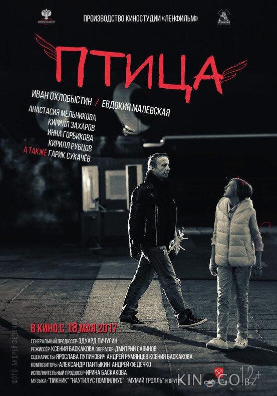 Птица Птица