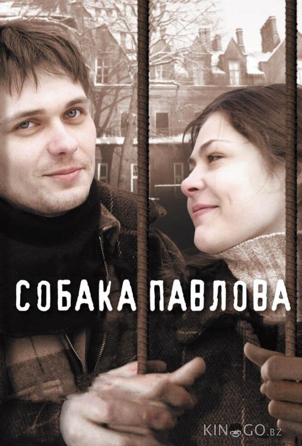 Собака Павлова Собака Павлова