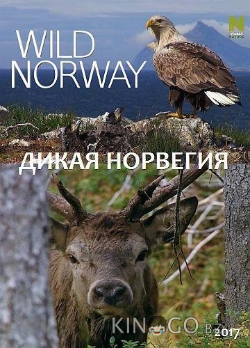 Дикая Норвегия Дикая Норвегия