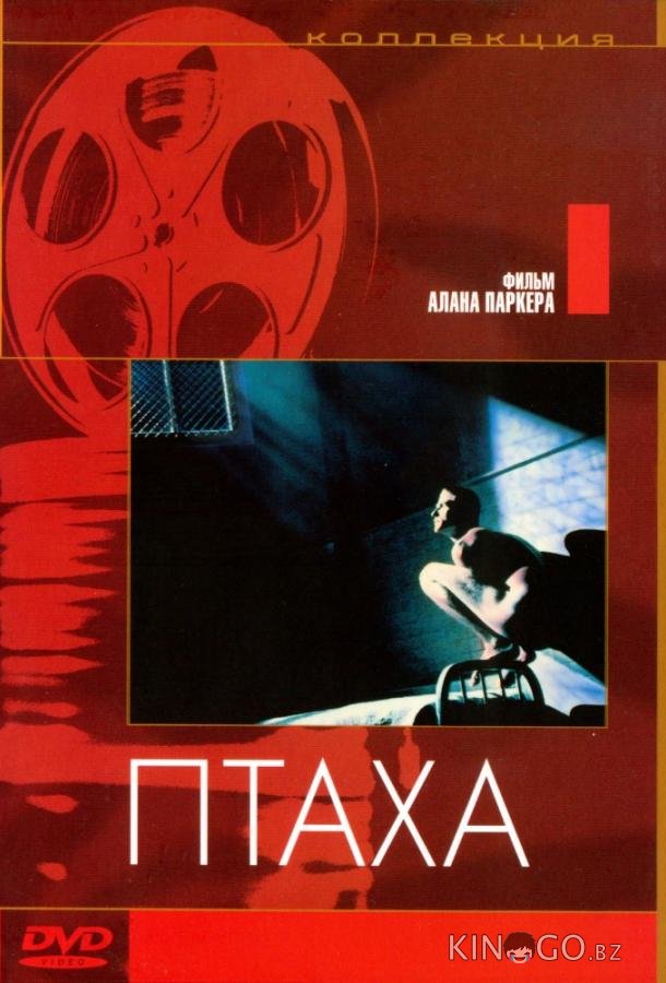 Птаха Птаха