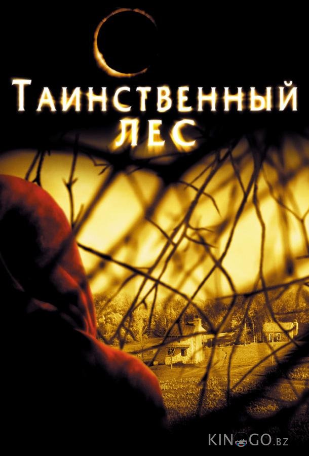 Таинственный лес Таинственный лес