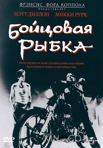 Бойцовая рыбка Бойцовая рыбка