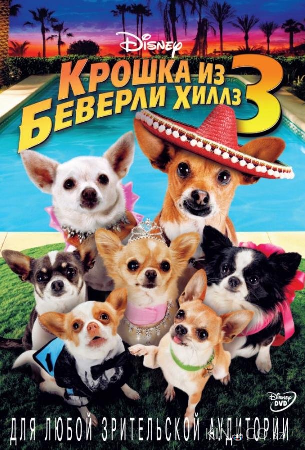 Крошка из Беверли-Хиллз 3 Крошка из Беверли-Хиллз 3