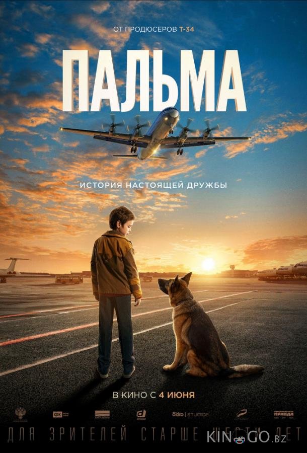 Пальма Пальма