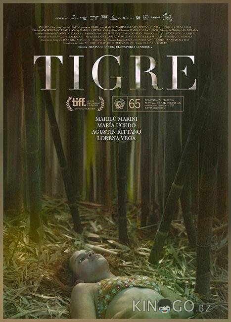 Тигр Тигр