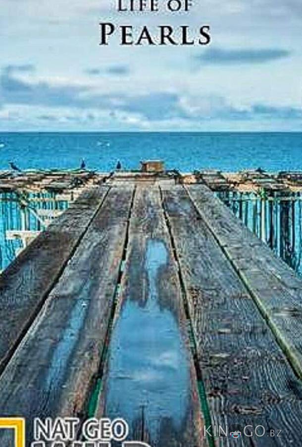National Geographic. Секретная жизнь жемчужин National Geographic. Секретная жизнь жемчужин
