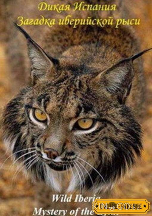 National Geographic. Дикая Иберия. Загадка иберийской рыси National Geographic. Дикая Иберия. Загадка иберийской рыси