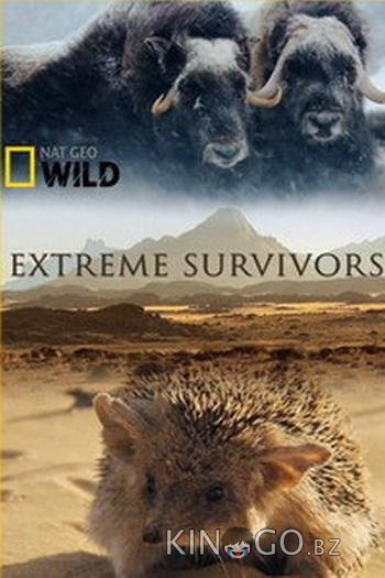 National Geographic. Выжить несмотря ни на что National Geographic. Выжить несмотря ни на что