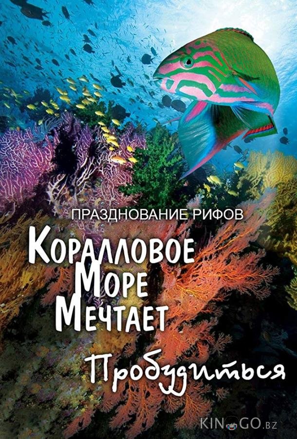 Грёзы Кораллового моря: Пробуждение Грёзы Кораллового моря: Пробуждение