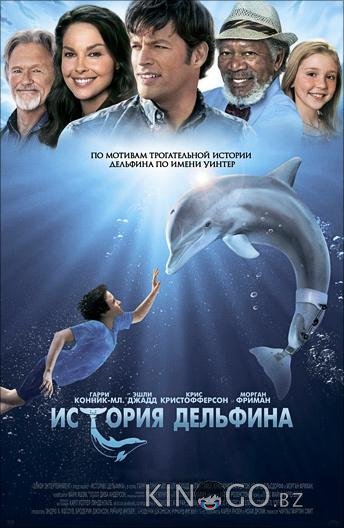 История дельфина История дельфина