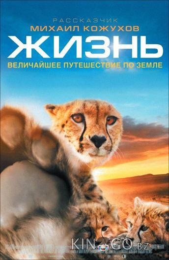 Жизнь Жизнь