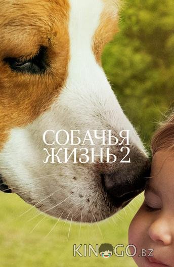 Собачья жизнь 2 Собачья жизнь 2
