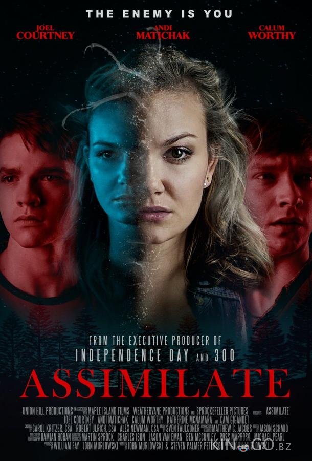 Ассимиляция Ассимиляция