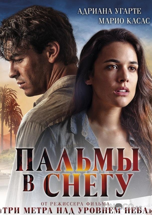 Пальмы в снегу Пальмы в снегу