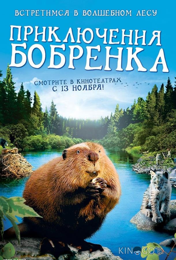 Приключения бобрёнка Приключения бобрёнка