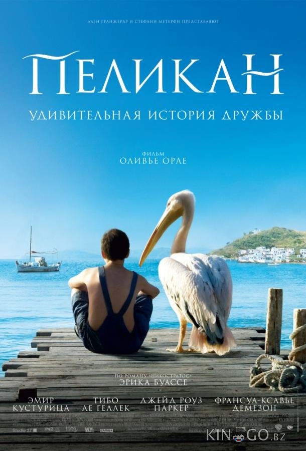 Пеликан Пеликан