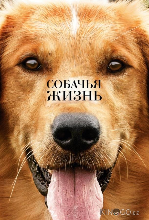 Собачья жизнь Собачья жизнь