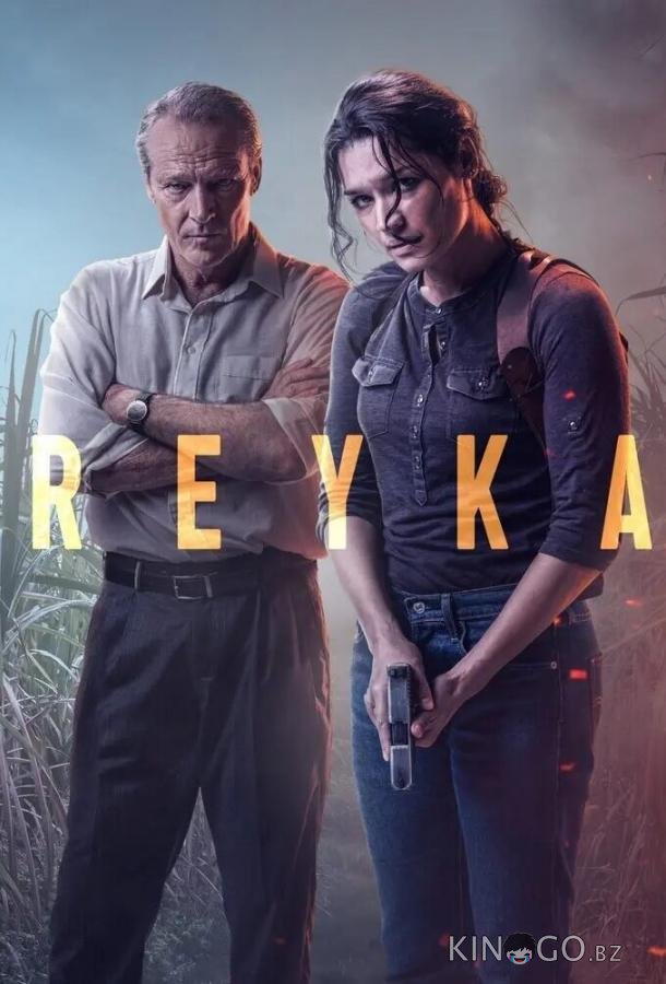 Рейка Рейка 2 8