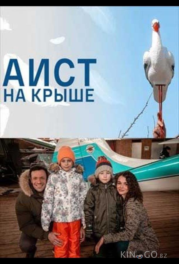 Аист на крыше Аист на крыше 1 4