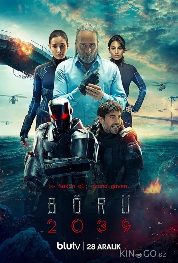 Волк 2039 Волк 2039 1 6