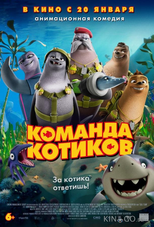 Команда котиков Команда котиков