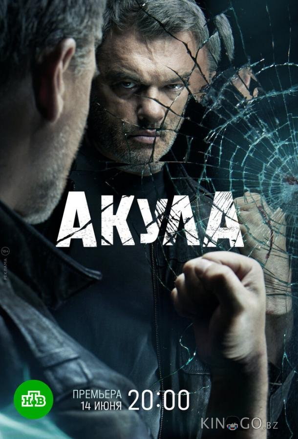 Акула Акула 1 12