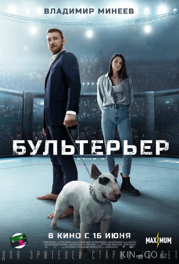 Бультерьер Бультерьер