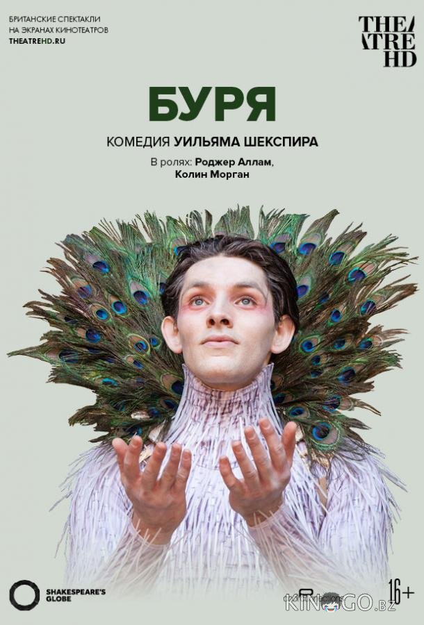 Буря Буря