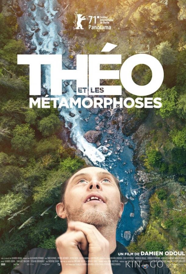 Тео и метаморфозы Тео и метаморфозы