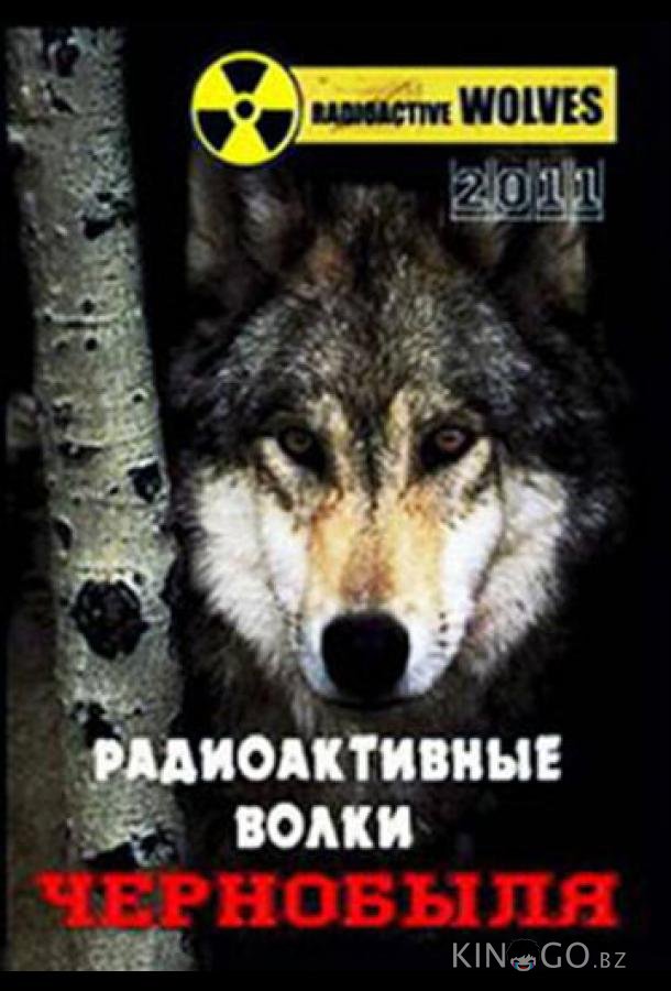 Радиоактивные волки Чернобыля Радиоактивные волки Чернобыля