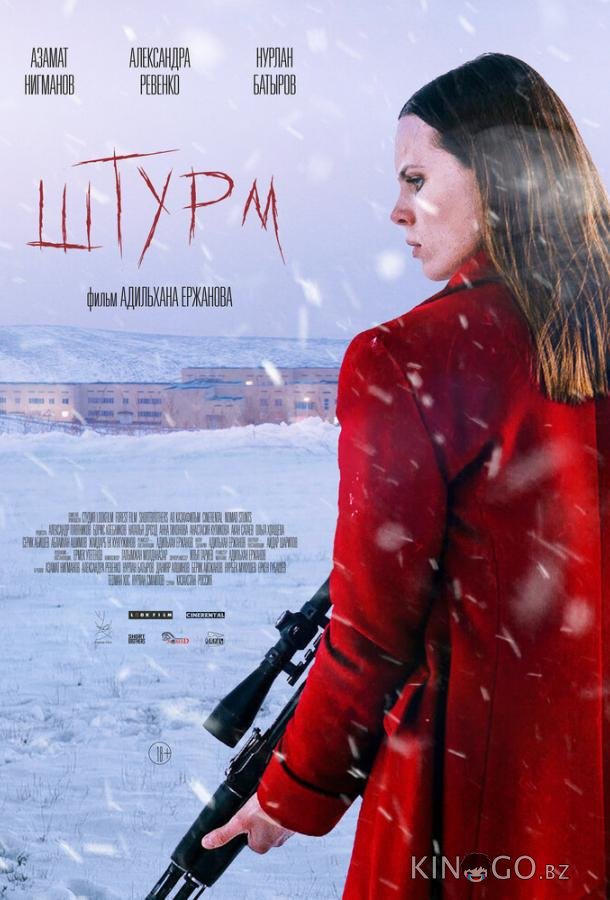 Штурм Штурм