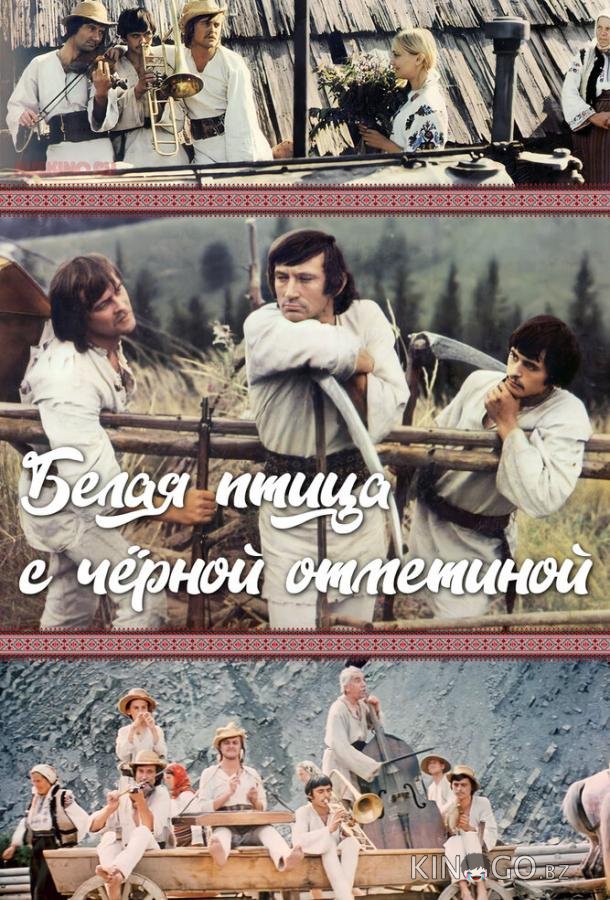 Белая птица с черной отметиной Белая птица с черной отметиной