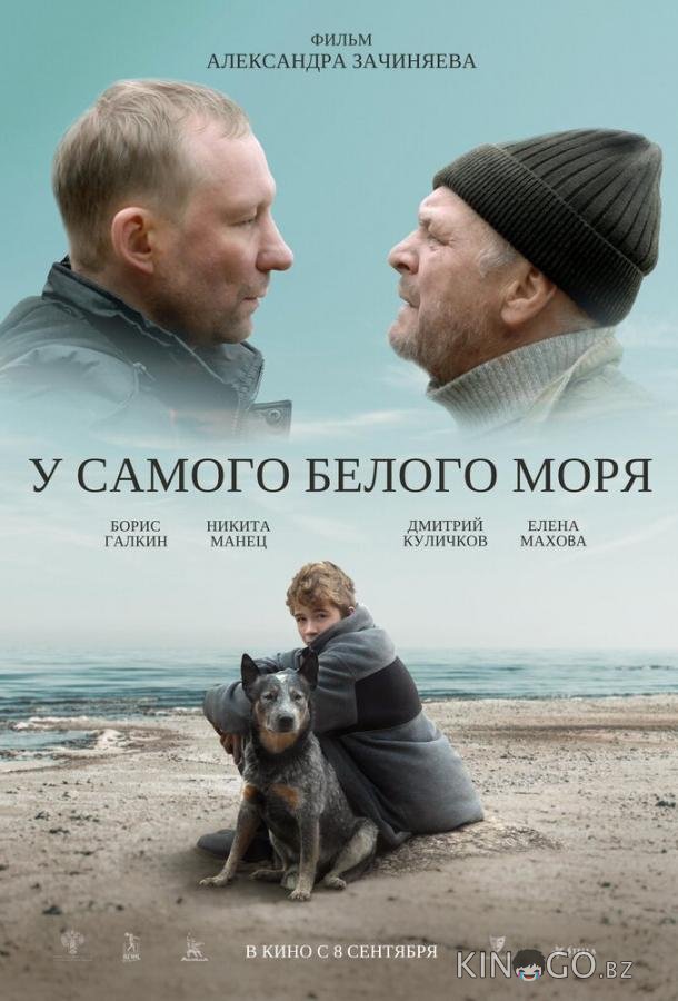 У самого Белого моря У самого Белого моря